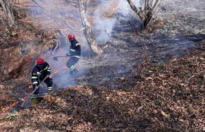 Fires in Georgia under control; Sukhumi rejects Tbilisi’s offer of support