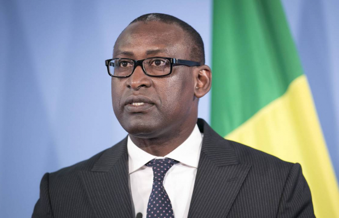 Mali's foreign minister pleads solidarity with the international community