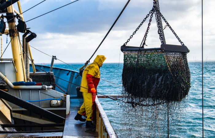 EU and UK agree on fishing quotas for 2021