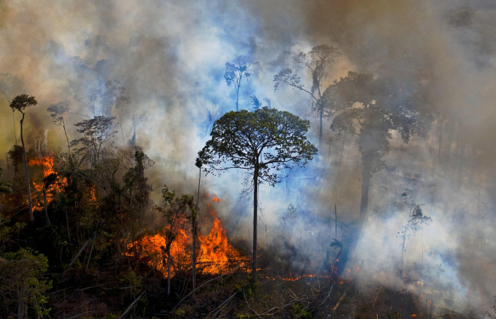 World leaders promise to end deforestation by 2030