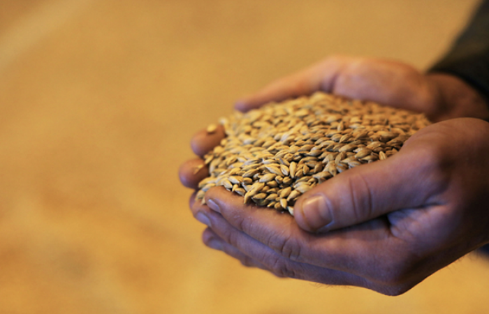 Russian grain and sugar export bans cause turmoil in Central Asian countries 