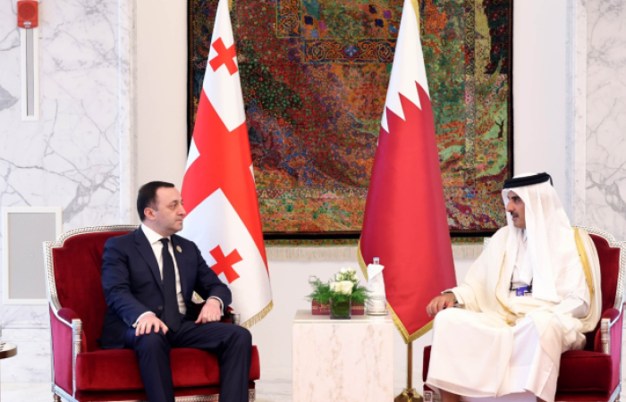 Georgia and Qatar to sign agreement on innovation and technology cooperation after leaders meet in Doha