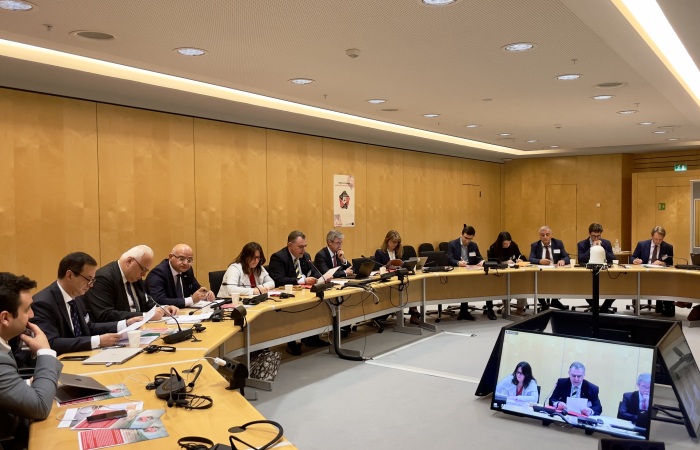 States and International Organisations re-affirm their readiness to step-up their work for a landmine free South Caucasus by 2030