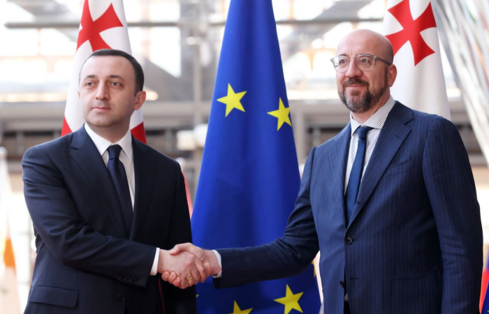 Georgian PM visits Brussels, says government "spares no effort to obtain EU candidate status"