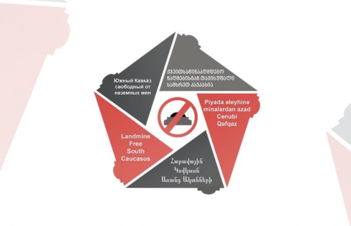 Consultation process on the future of the regional campaign "Landmine Free South Caucasus"