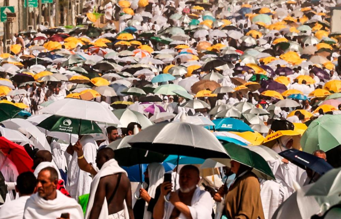 Egypt revokes licences of 16 tourism companies after 530 Hajj deaths