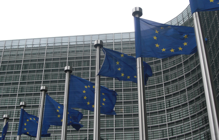 Environmentalists take the European Commission to court