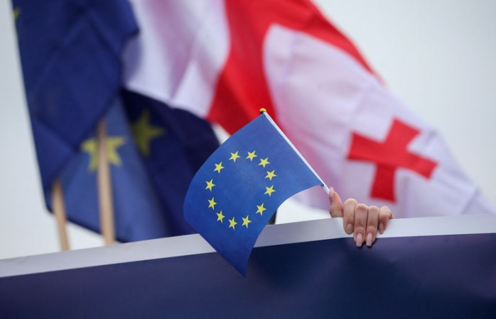 Georgian police arrest anti-government protesters at pro-EU demonstration