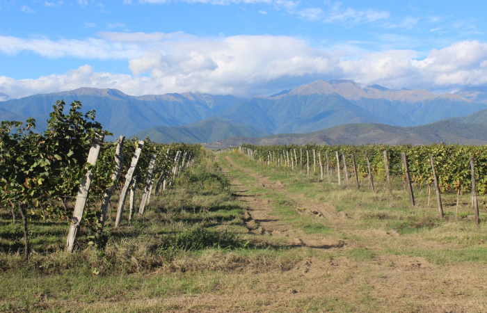 New research finds environmental degradation across the South Caucasus