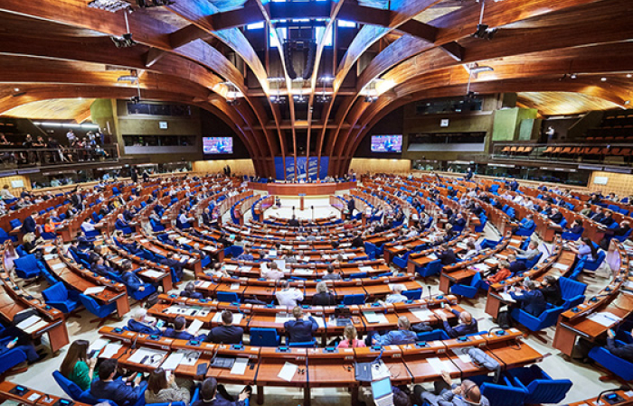 Georgia suspends participation in the Council of Europe Parliamentary Assembly