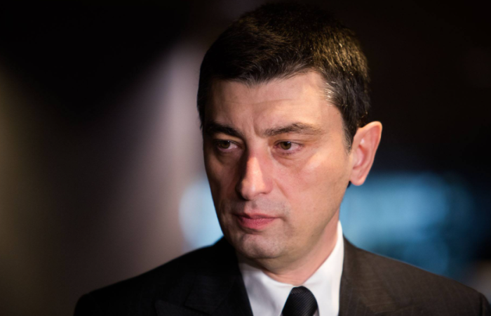 Georgian opposition leader hospitalised after assault, blames members of the party in government
