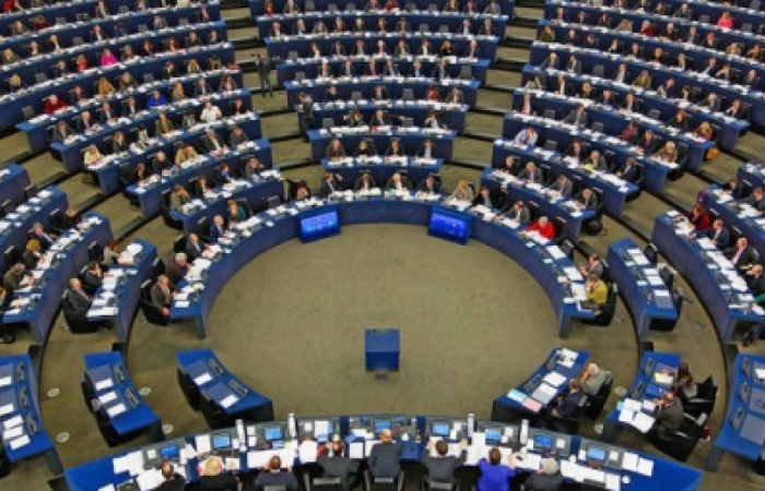 European Parliament adopts resolution on Georgia, calls for sanctions and new elections