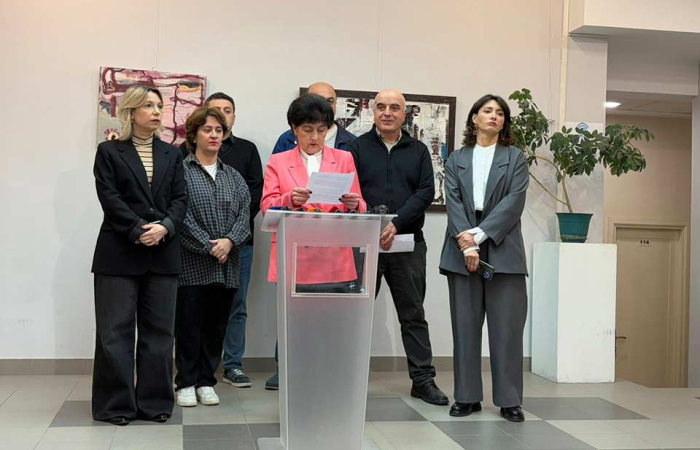 Georgian NGOs call for international support following intimidation