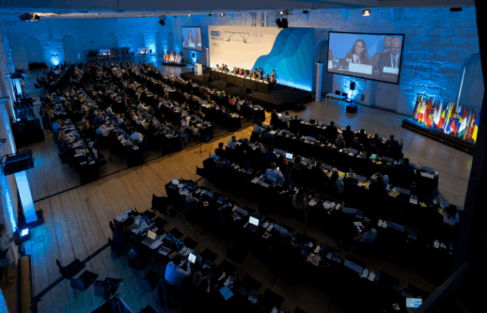 OSCE Parliamentary Assembly calls for Release of Political Prisoners in Georgia