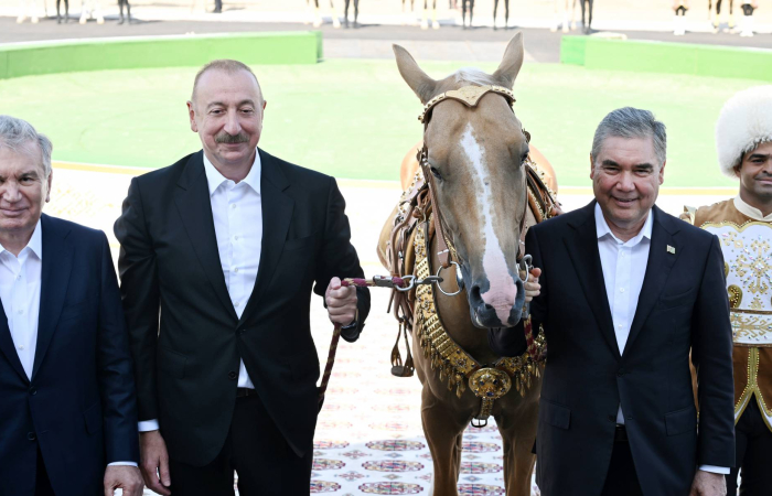 Aliyev gets a horse, Mirziyoyev gets a camel