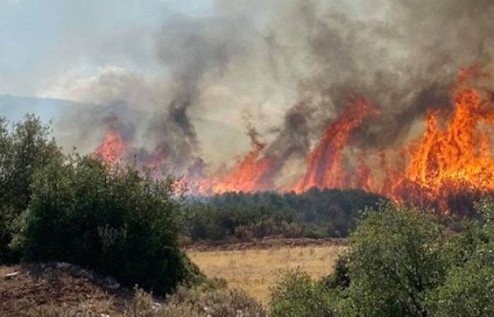 Europe burns! Experts warn that countries must shift from crisis response to prevention