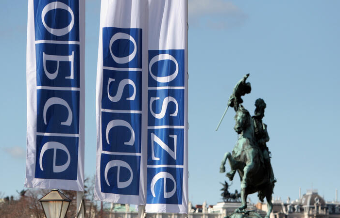 OSCE Moscow Mechanism invoked over human rights concerns in Georgia