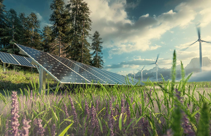 Opinion: Azerbaijan energy sector in 2025 has been innovative and dynamic