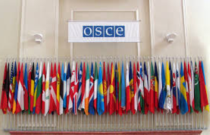 OSCE Moscow Mechanism invoked over human rights concerns in Georgia