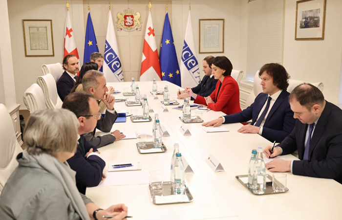 OSCE calls for political dialogue in Georgia