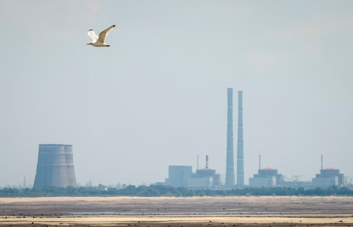 IAEA brokers local ceasefire around Zaporizhzhia nuclear plant