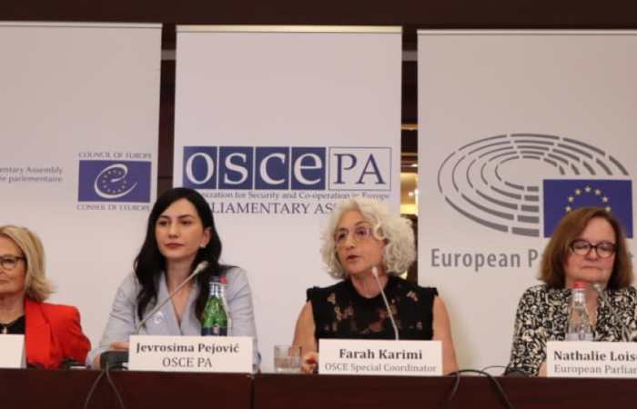 International Election Observation Mission finds that Armenians were offered a genuine choice against a backdrop of direct foreign pressure and uneven campaign opportunities