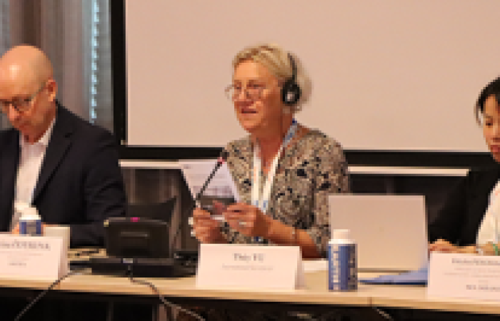  OSCE Parliamentary Assembly Annual Meeting in The Hague: High‑level side event on the abduction and deportation of Ukrainian children as Special Envoy issues new report