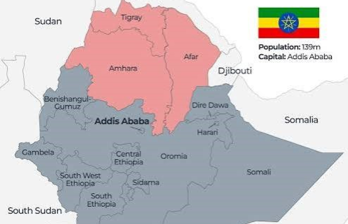 In Ethiopia, government forces take rebel capital