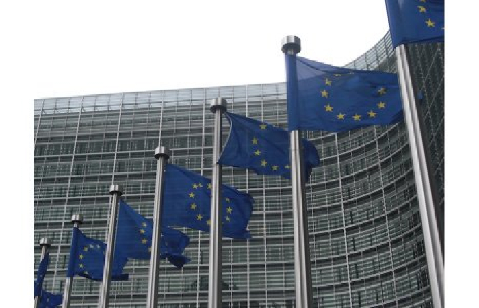 Заявление Службы внешних действий Европейского Союза по поводу событий в Ереване