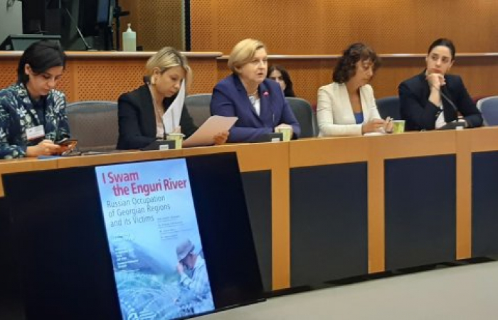 На мероприятии в Европарламенте была отмечена озабоченность ситуацией с правами человека в Абхазии и Южной Осетии