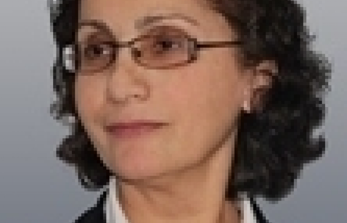 OPINION: Gayane Novikova "The Safarov Phenomenon within the Context of Azerbaijani Politics"