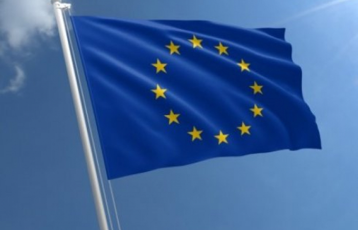 ЕС призывает к немедленному освобождению задержанных в Ереване протестующих