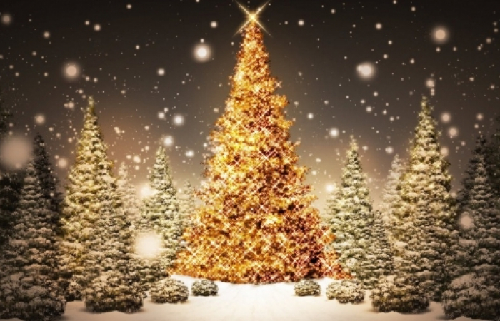 Merry Christmas!