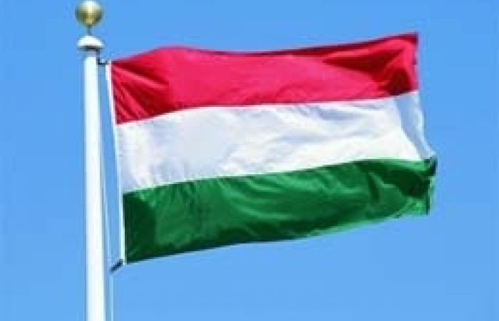 Hungary's ambassador to Romania apologizes for Safarov's extradition