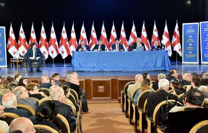 Georgia's Constitutional debate