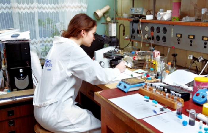 Молодые ученые из РА будут содействовать развитию образовательной сферы НКР