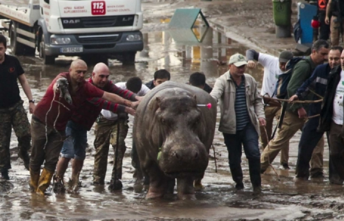 Georgians mark one year since deadly Tbilisi floods