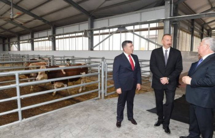 Aliyev highlights importance of agriculture for Azerbaijan during tour of north-west regions