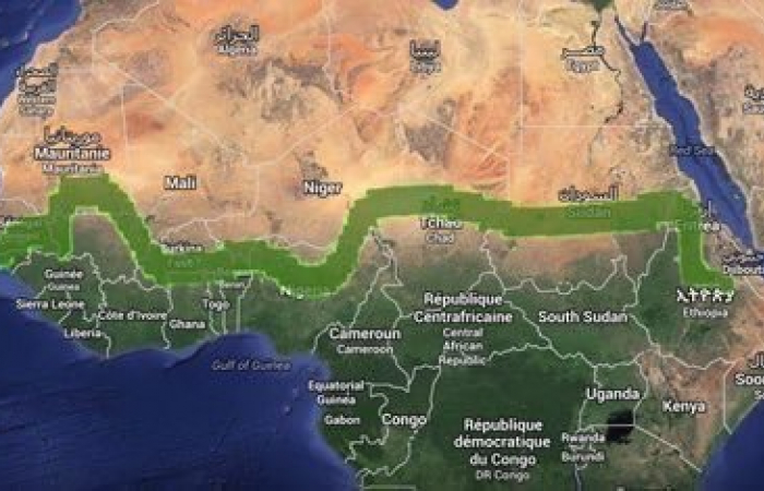 The Sahel's "Great Green Wall" is more than about planting trees