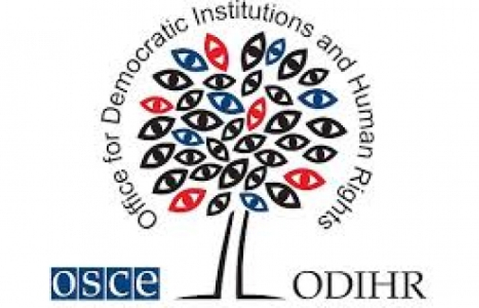 Over 400 monitors for Georgian elections – OSCE