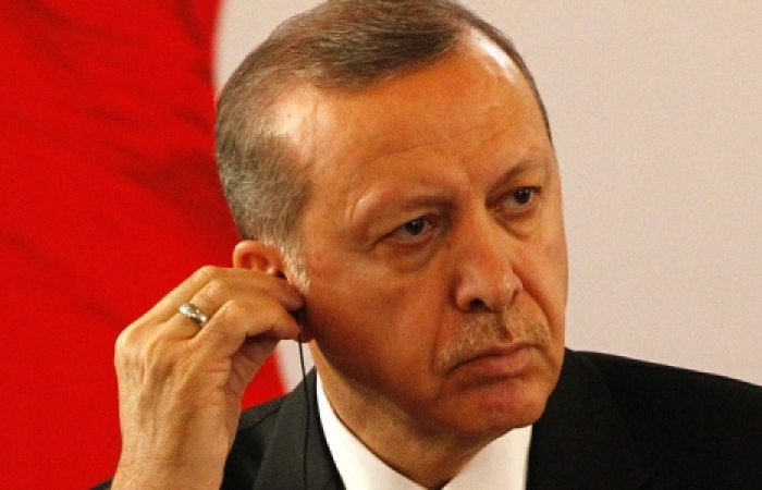 Erdogan sends first official letter to Putin after Su-24 jet incident - TASS