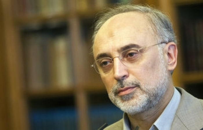 Глава ИД Ирана: