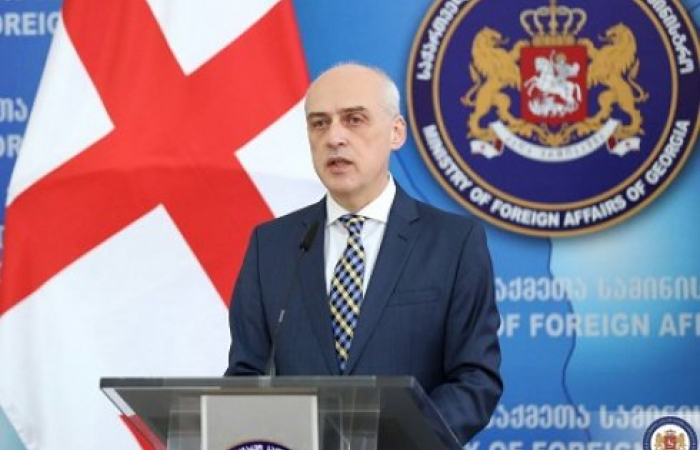 Глава МИД Грузии: Функционирование стратегических объектов не должно оказаться под угрозой