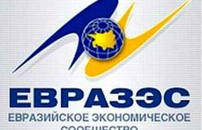 Representative of Yedinaya Rossiya: There are no political obstacles in the way of Armenia's accession to Eurasian Economic Union