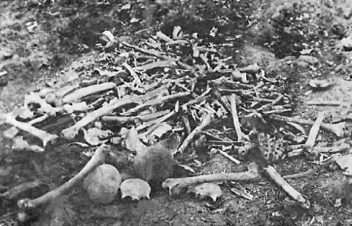 Девяносто девять лет спустя. События в Восточной Анатолии 1915 года позор в мировой истории 20-го века.