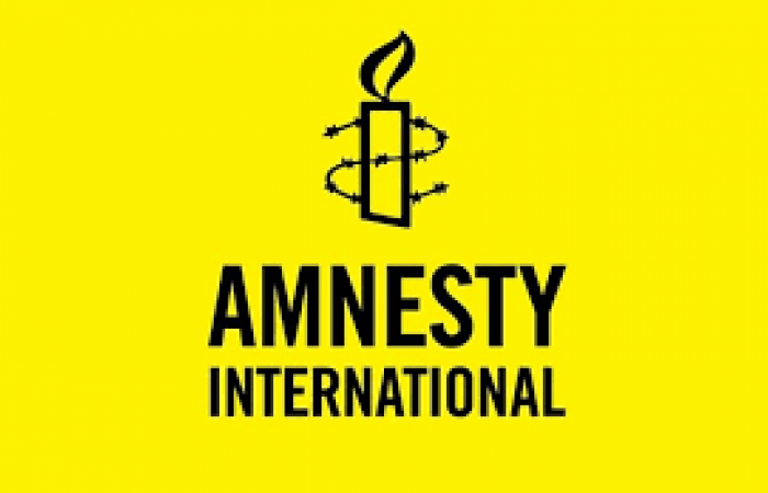 Ежегодный доклад Amnesty International о Грузии