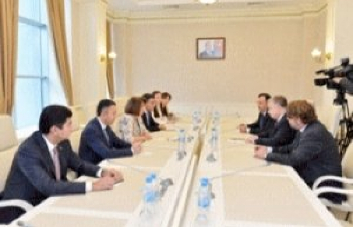 Встреча вице-спикера парламента Азербайджана с главой БДИПЧ в Баку