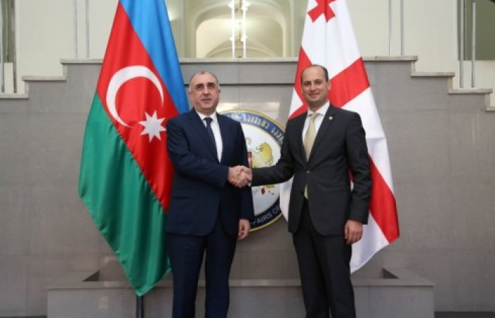Azerbaijani Foreign Minister in Georgia on official visit (Updated)