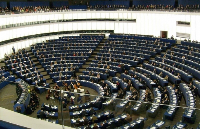 European Parliament adopts strongly worded resolution on Safarov case