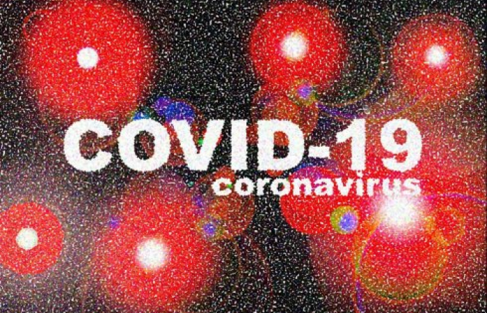 Coronavirus and how it functions